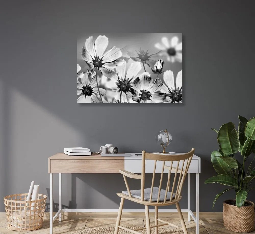 Stampa su tela – Fiori estivi in bianco e nero