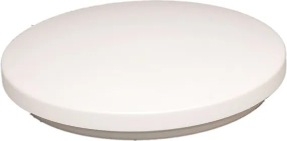 Plafoniera da bagno LED 14W 230V 3000/4000/6500K Ø 26 cm IP44 bianca