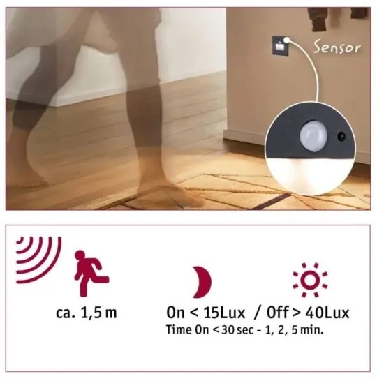 Paulmann 93135 - LED/1,2W Illuminazione scale con sensore EDGE 230V nero