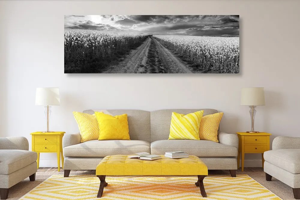 Quadro su tela – Tramonto sul campo in Slovacchia in bianco e nero