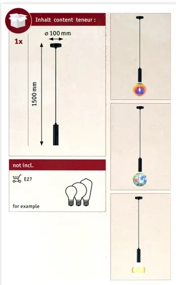 Paulmann 79757 - Lampadario su fune NEORDIC 1xE27/20W/230V