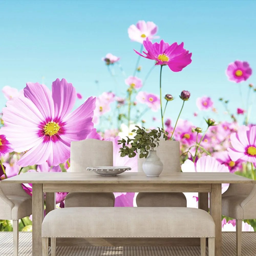 Carta da parati – Prato di Fiori Primaverili