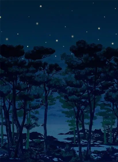 Rebel Walls Carta da parati panoramica The Enchanted Forest - Night