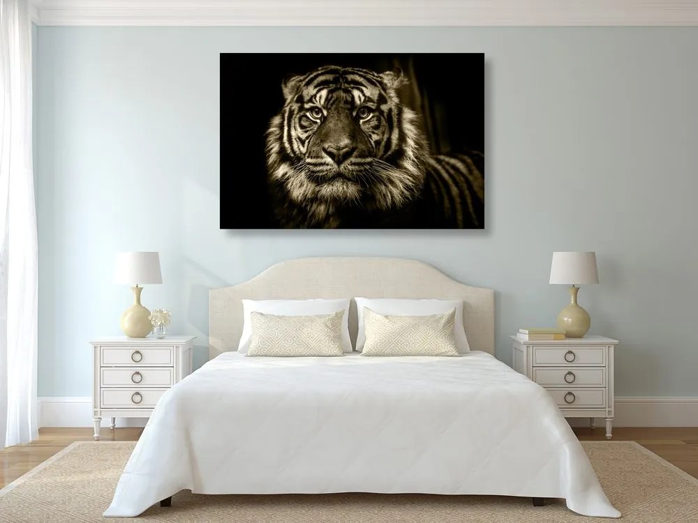 Stampa su tela – Tigre in seppia