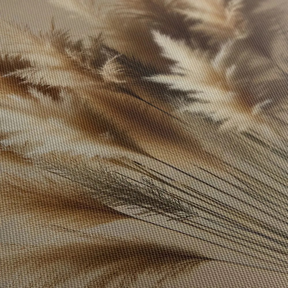 Quadro su tela – Steli delicati di erba pampas