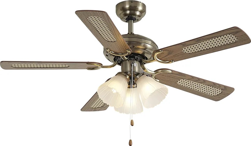 Ventilatore da soffitto in ottone con stampa legno e rattan 105cm con interruttore a tirante - Mistral Lia