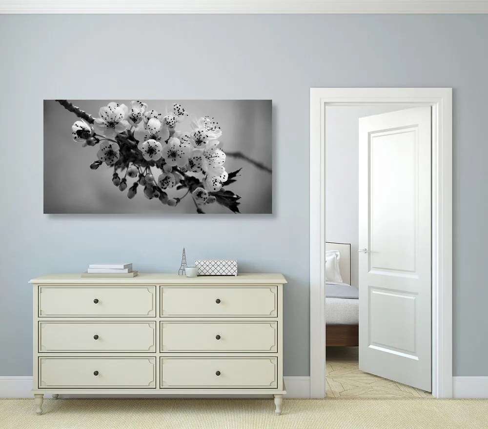 Quadro su tela – Ramo fiorito di ciliegio in bianco e nero