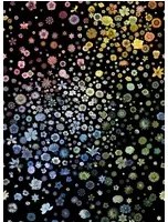 Christian Lacroix Carta da parati Jardin des Hesperides - Multicolore