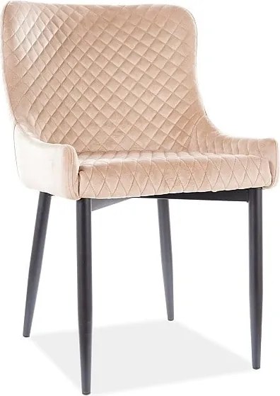 Sedia in velluto Colin B Beige - L51 x H45 x H84 cm