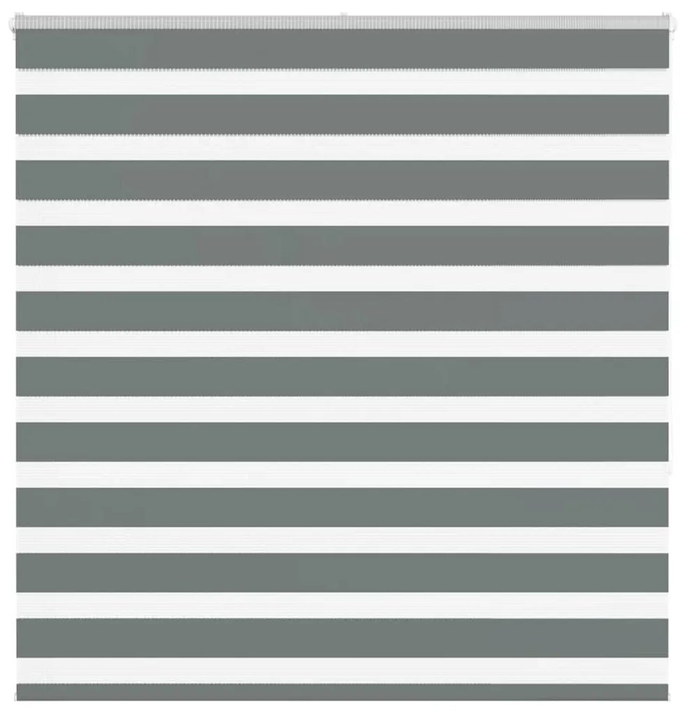 Tenda A Rullo Zebra Larghezza Tessuto 140,9 Cm Poliestere /