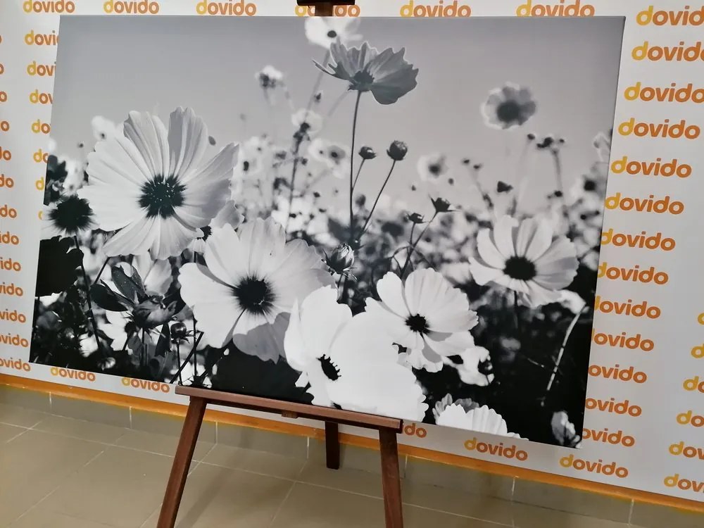 Stampa su tela – Fiori estivi in bianco e nero