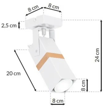 Luce Spot VIDAR 1xGU10/25W/230V bianco