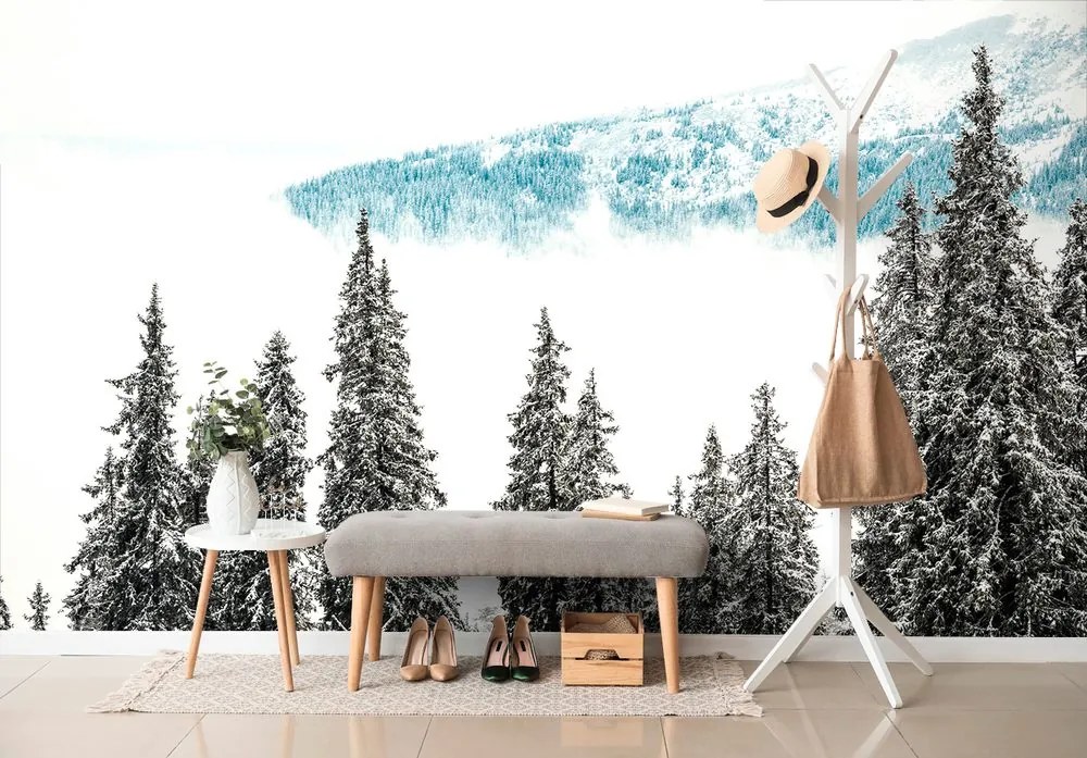 Fotomurale – Alberi di pino innevati