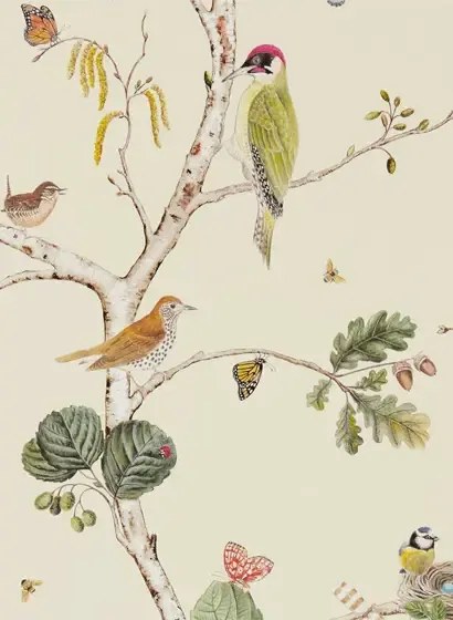 Sanderson Carta da parati Woodland Chorus - Cream/ Multi