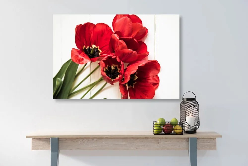 Quadro su tela – Tulipani rossi fioriti