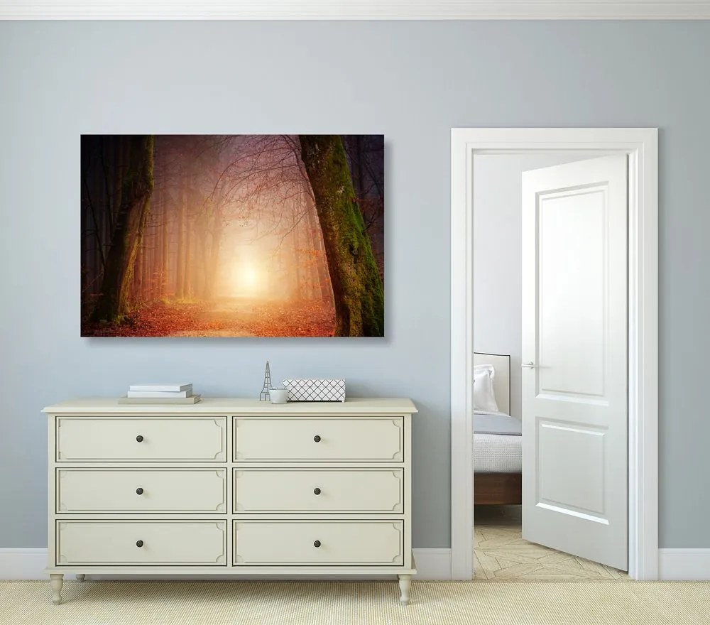 Quadro su tela – Foresta in colori fiabeschi