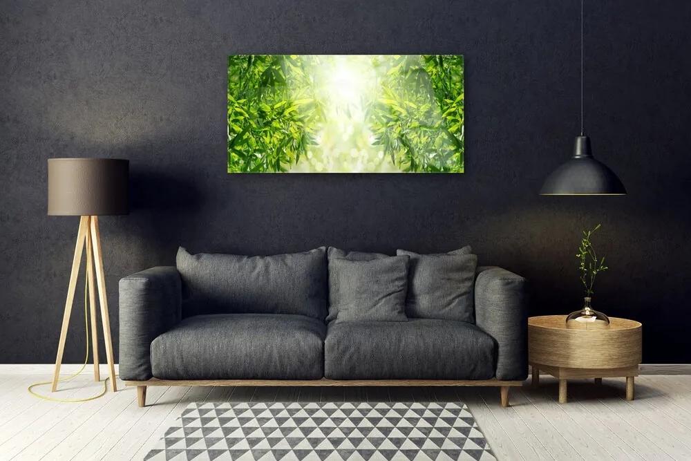 Quadro acrilico Foglie di piante naturali 100x50 cm