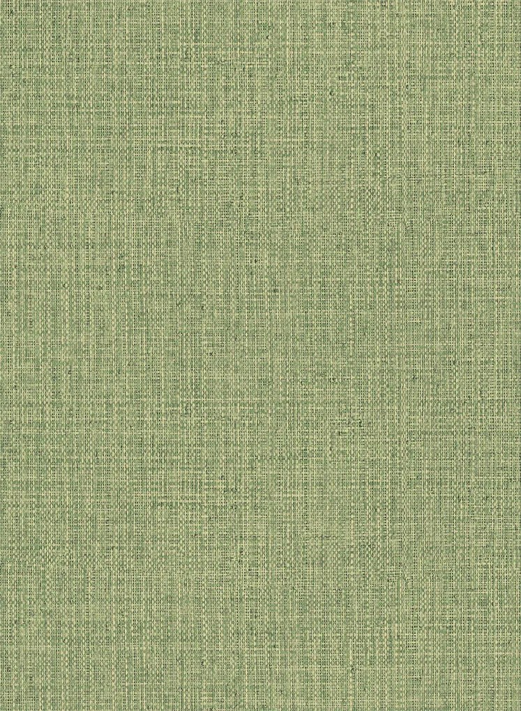 Arte International Carta da parati Nongo - Olive