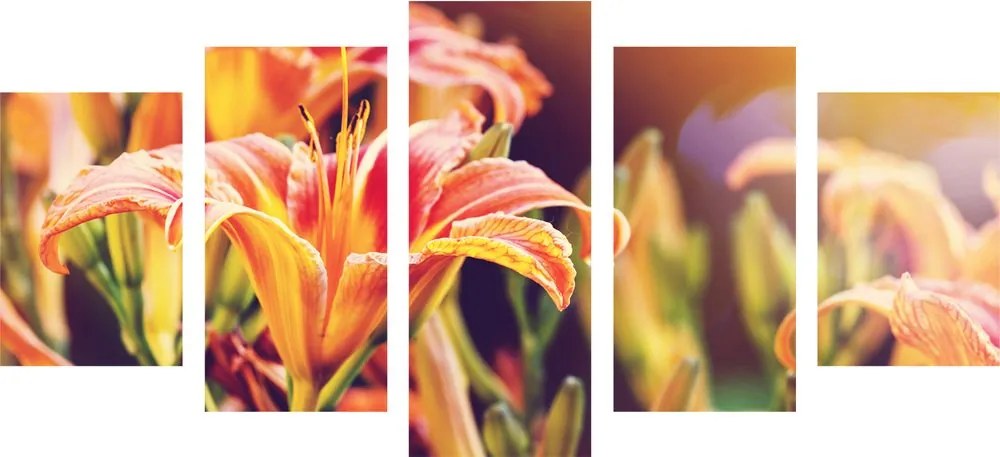 Quadri 5 pezzi – Bellissimi fiori in giardino