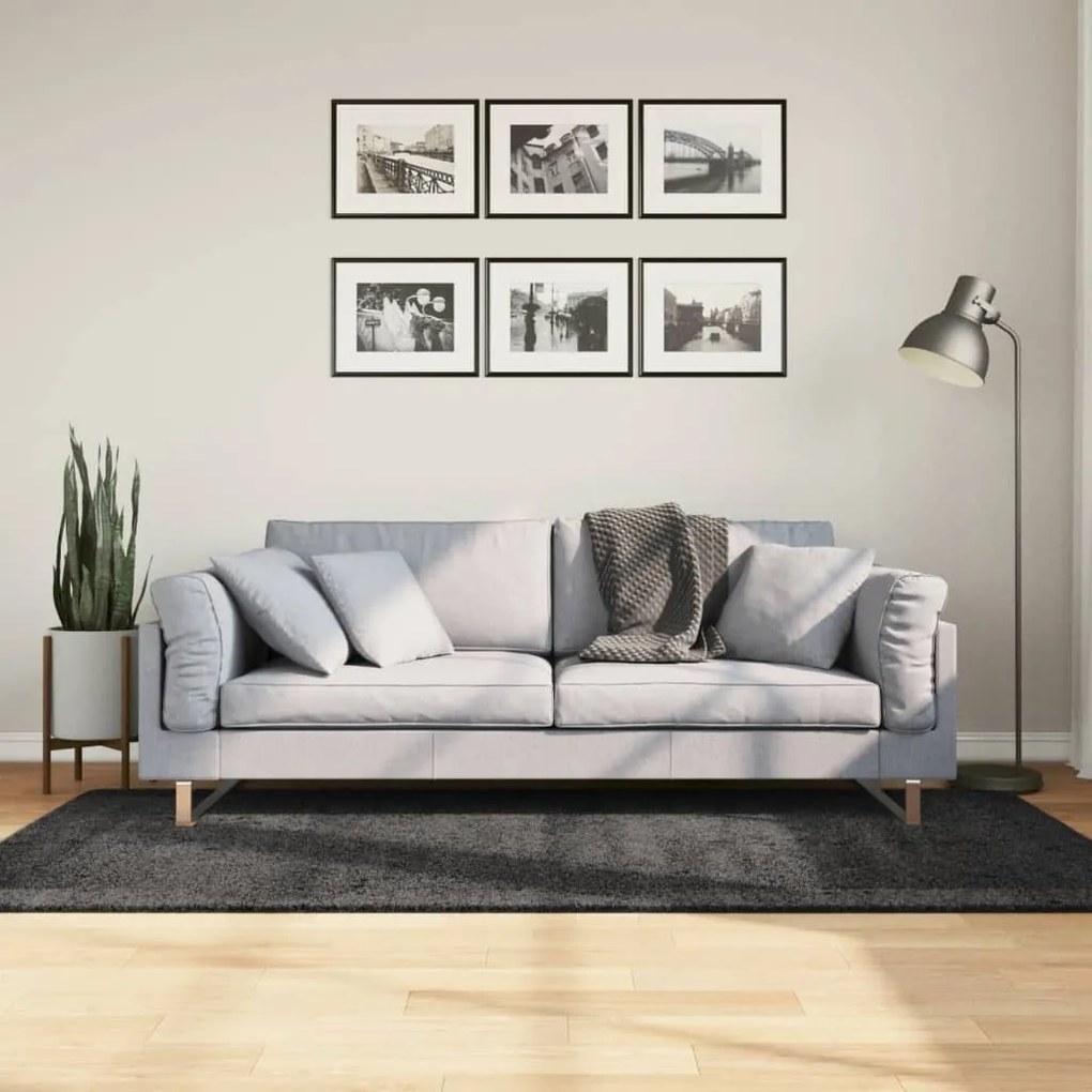 Tappeto Shaggy Pamplona Pelo Lungo Moderno Antracite 100x200cm /