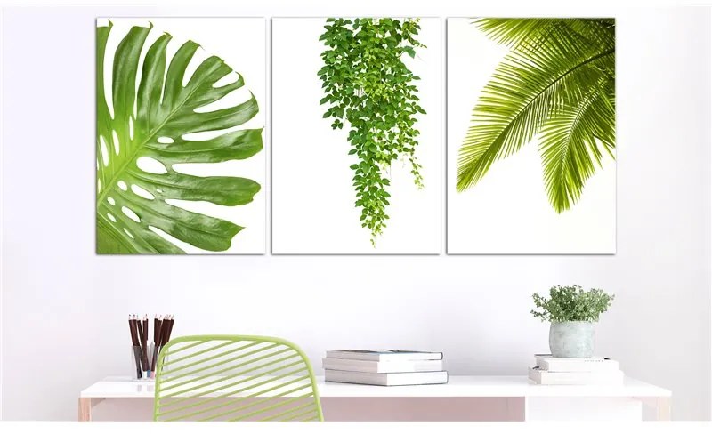 Quadro  Beautiful Palm Trees (3 Parts)  Colore Bianco, Dimensioni e Misure 120x60