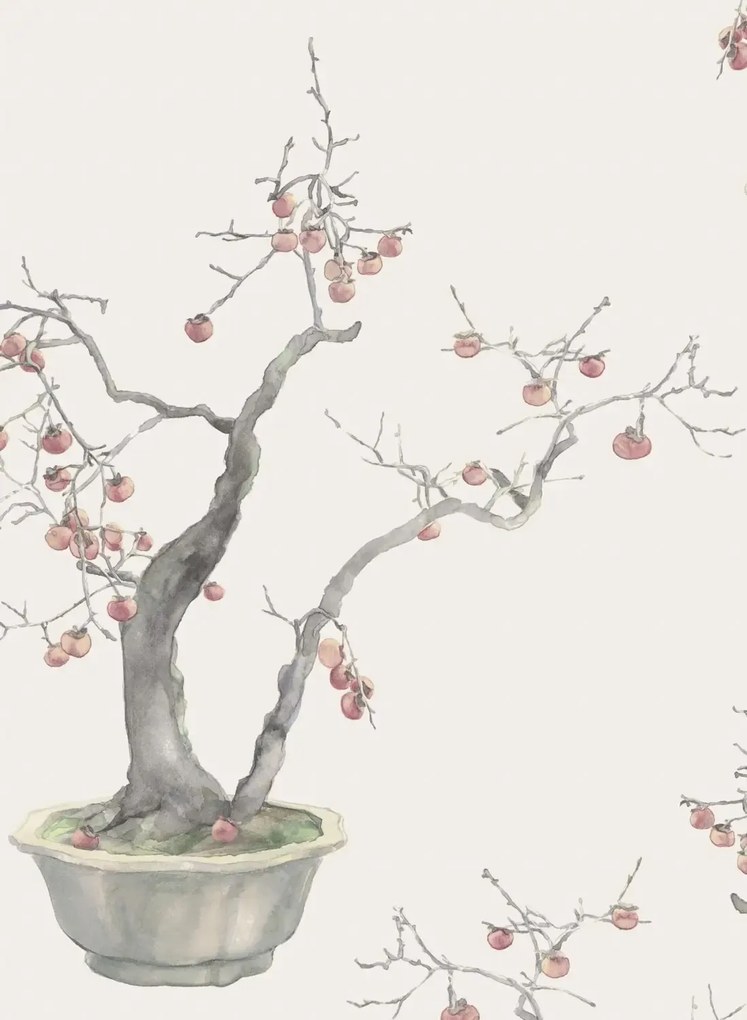 Cole & Son Carta da parati Kaki Persimmon - Silver