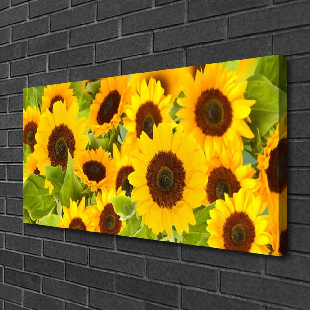 Quadro su tela Pianta i girasoli 100x50 cm