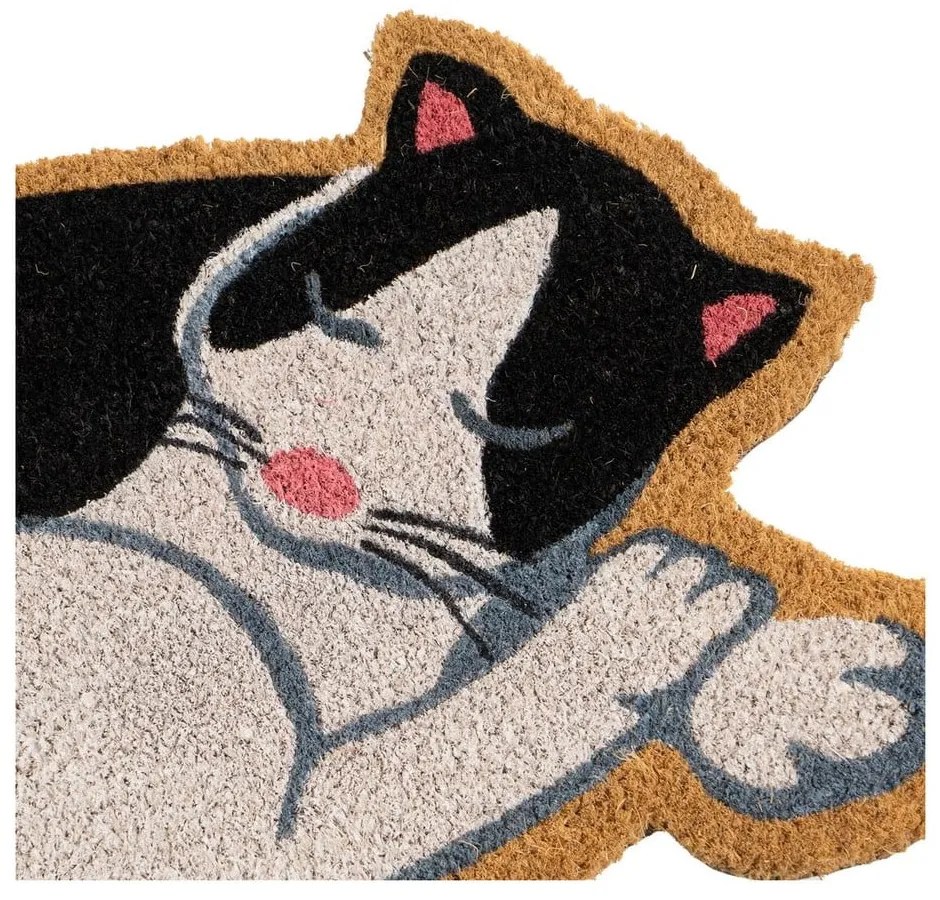 Zerbino in fibre di cocco 40x60 cm Cat – Casa Selección