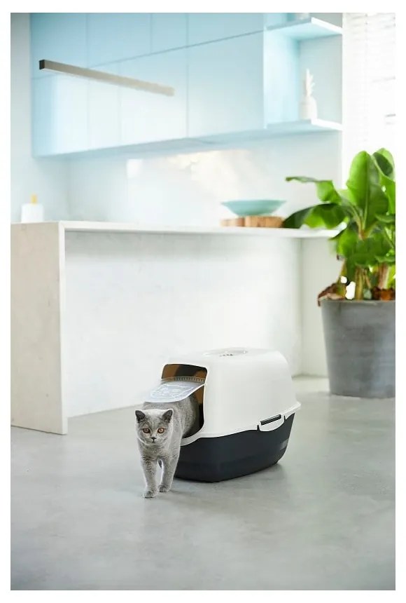 Lettiera per gatti 56x40 cm Eco Bailey - Rotho