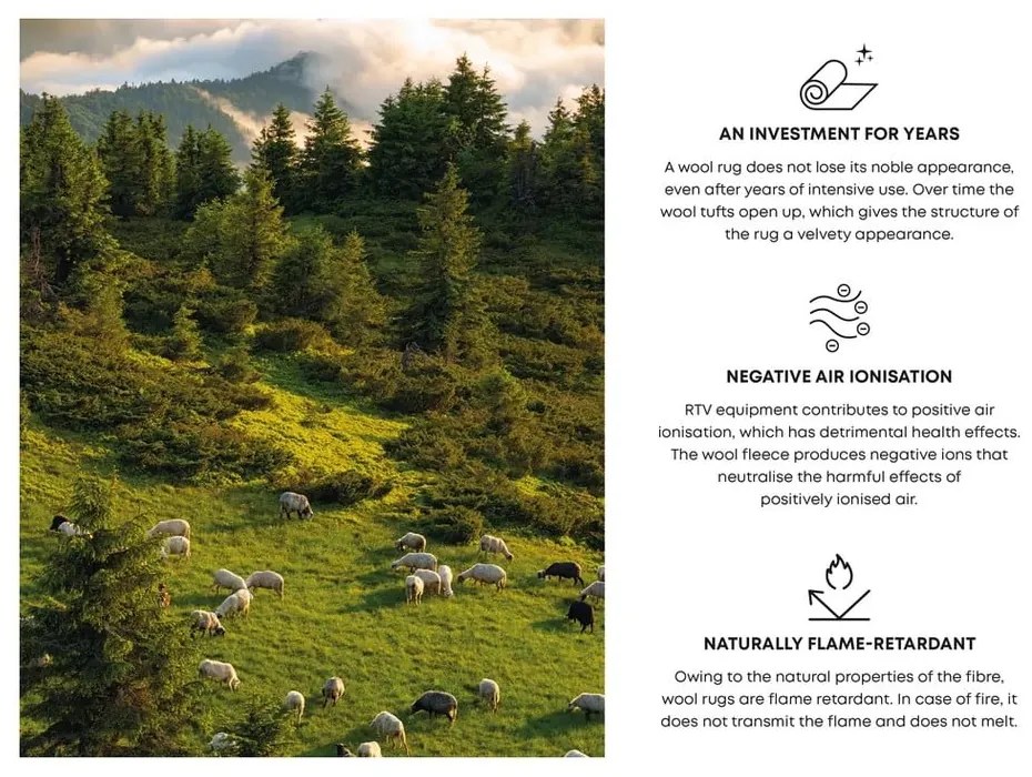 Tappeto in lana crema 160x240 cm Calisia M Ribs - Agnella