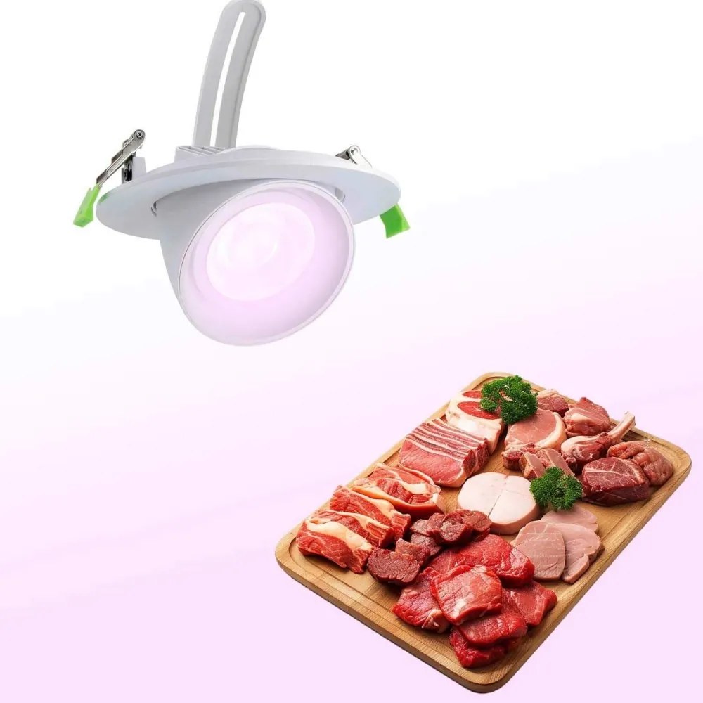 Faro LED da Incasso 44W, Foro Ø160mm con driver Philips- Per Carni Colore Rosa Alimentare