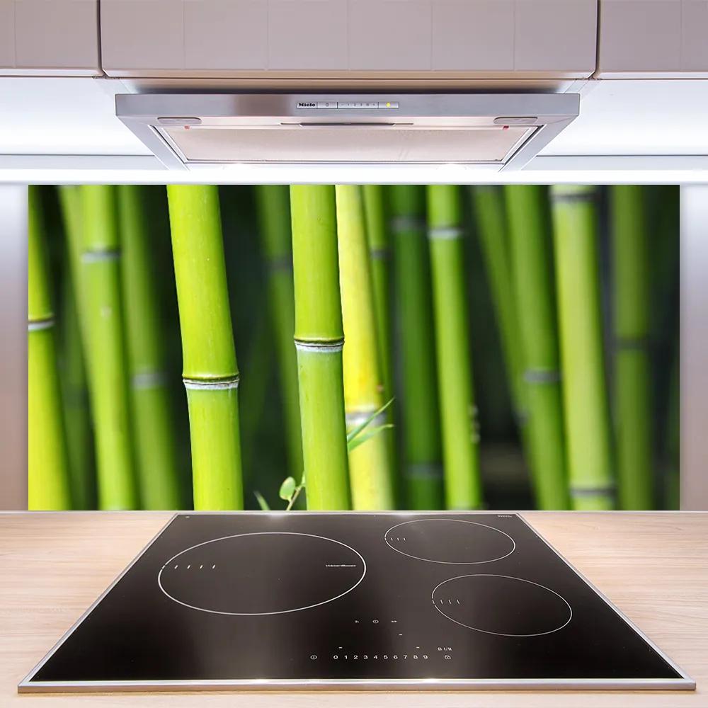 Pannello paraschizzi cucina Pianta della natura di bambù 100x50 cm