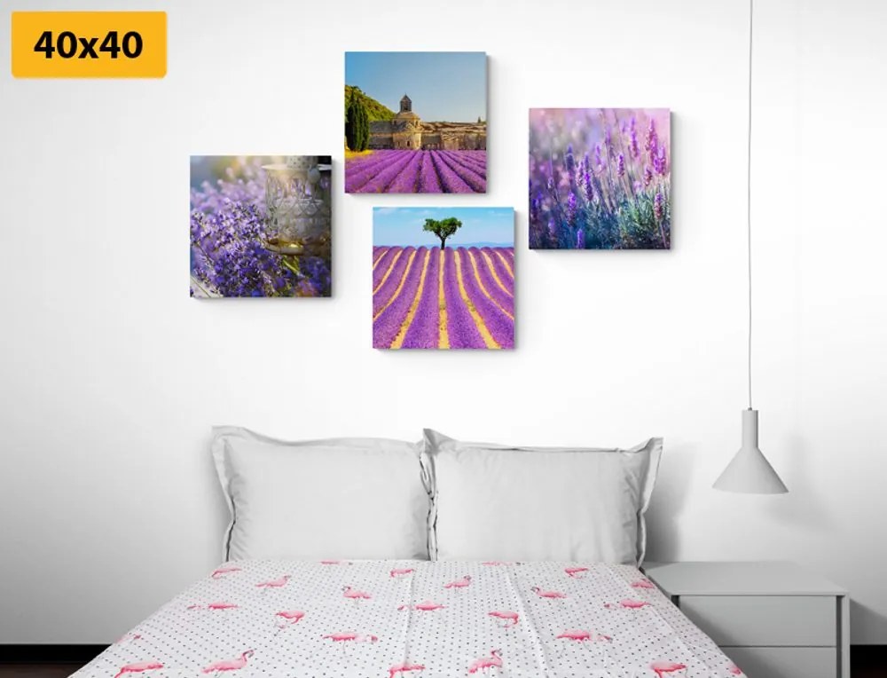 Set di quadri – Ricchezza della lavanda