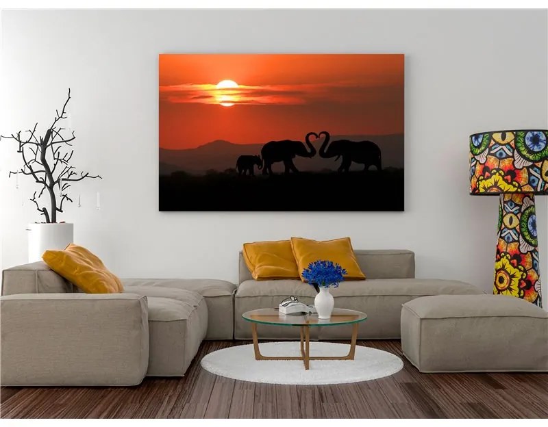 Quadro  Elephants in Love (1 Part) Wide  Colore Giallo, Dimensioni e Misure 60x40