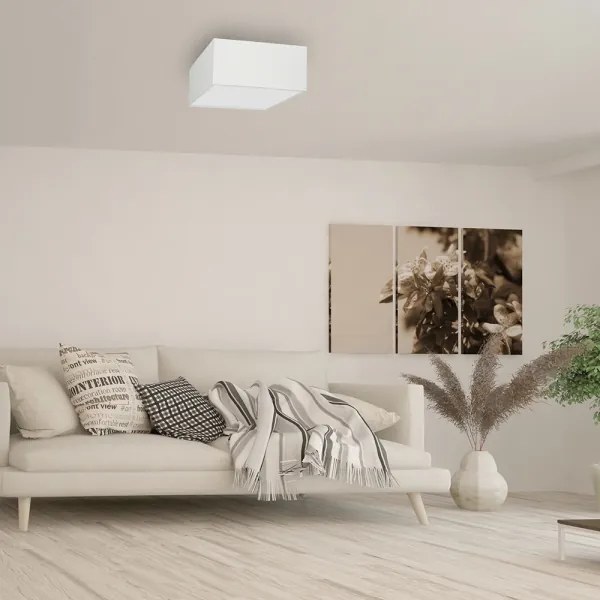 Plafoniera ALBION 2xE27/60W/230V