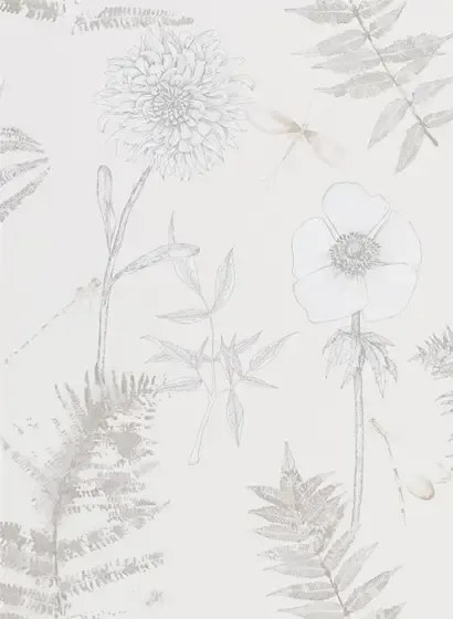 Designers Guild Carta da parati Acanthus - Ivory