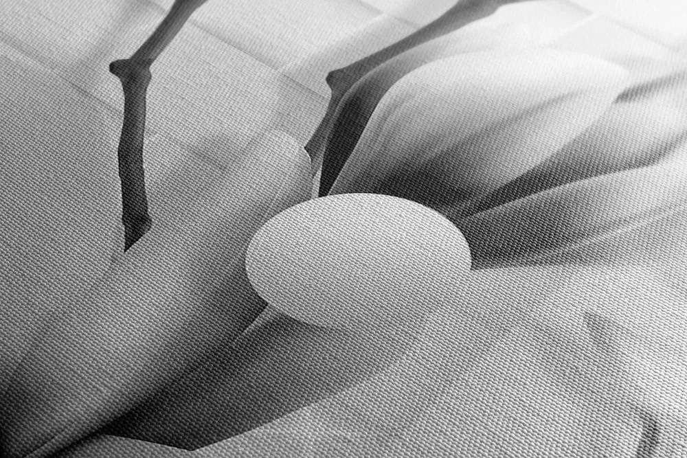 Quadro su tela – Magnolia in bianco e nero con elementi astratti