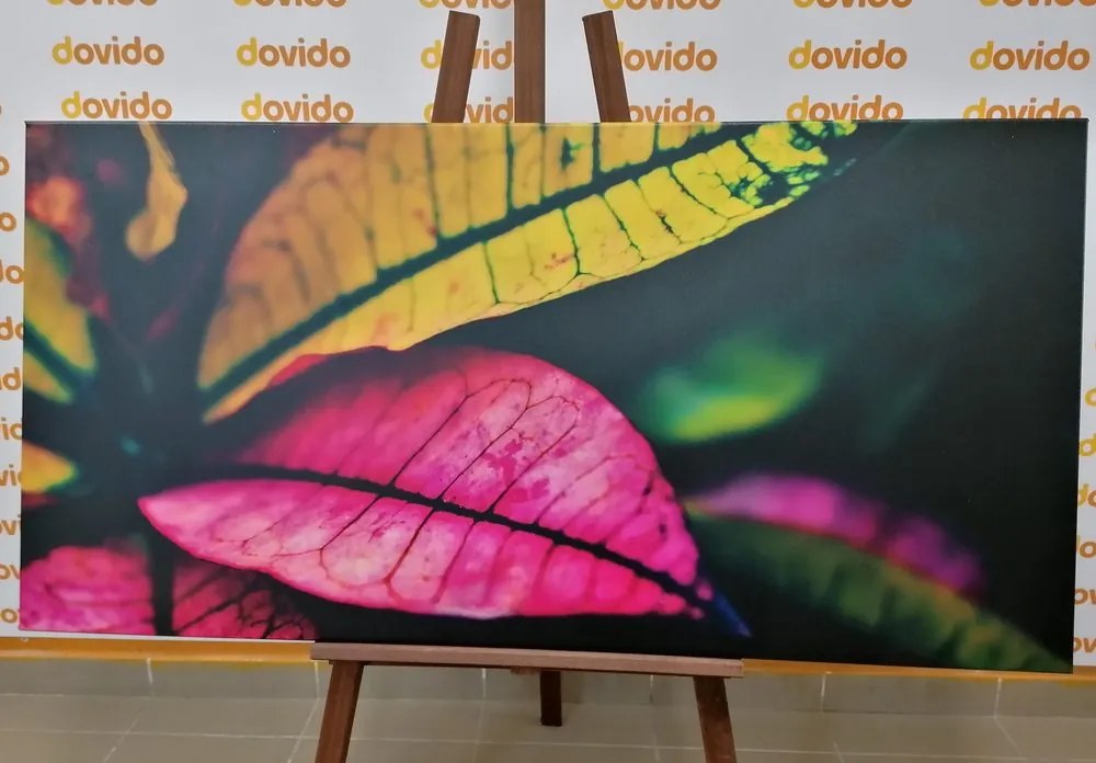 Quadro su tela – Foglie fresche