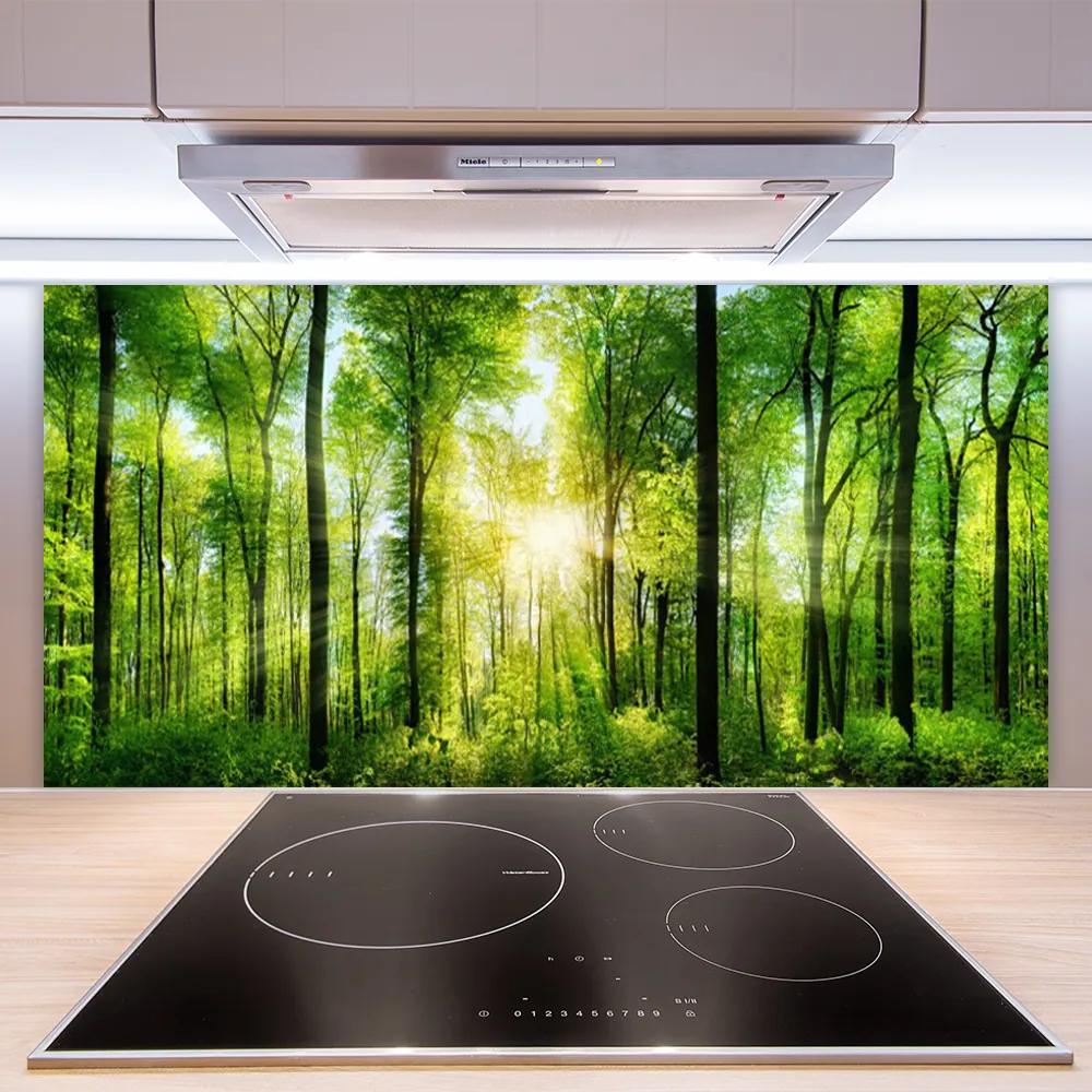 Pannello rivestimento parete cucina Alberi della natura della foresta 100x50 cm