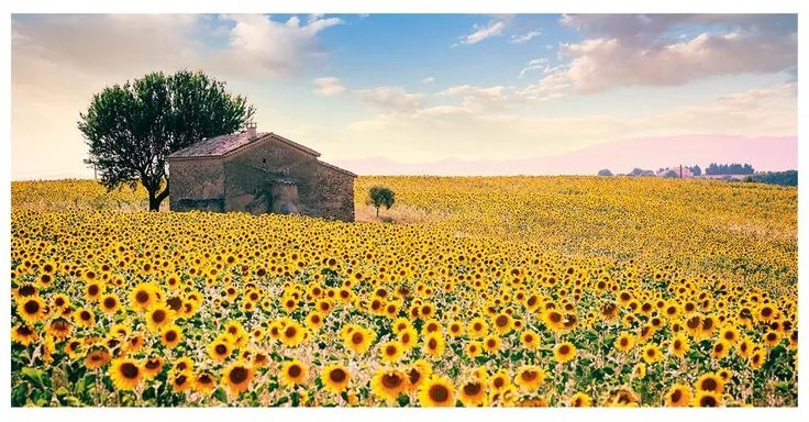 Stampa su tela Girasoli provenza, multicolore 140 x 70 cm