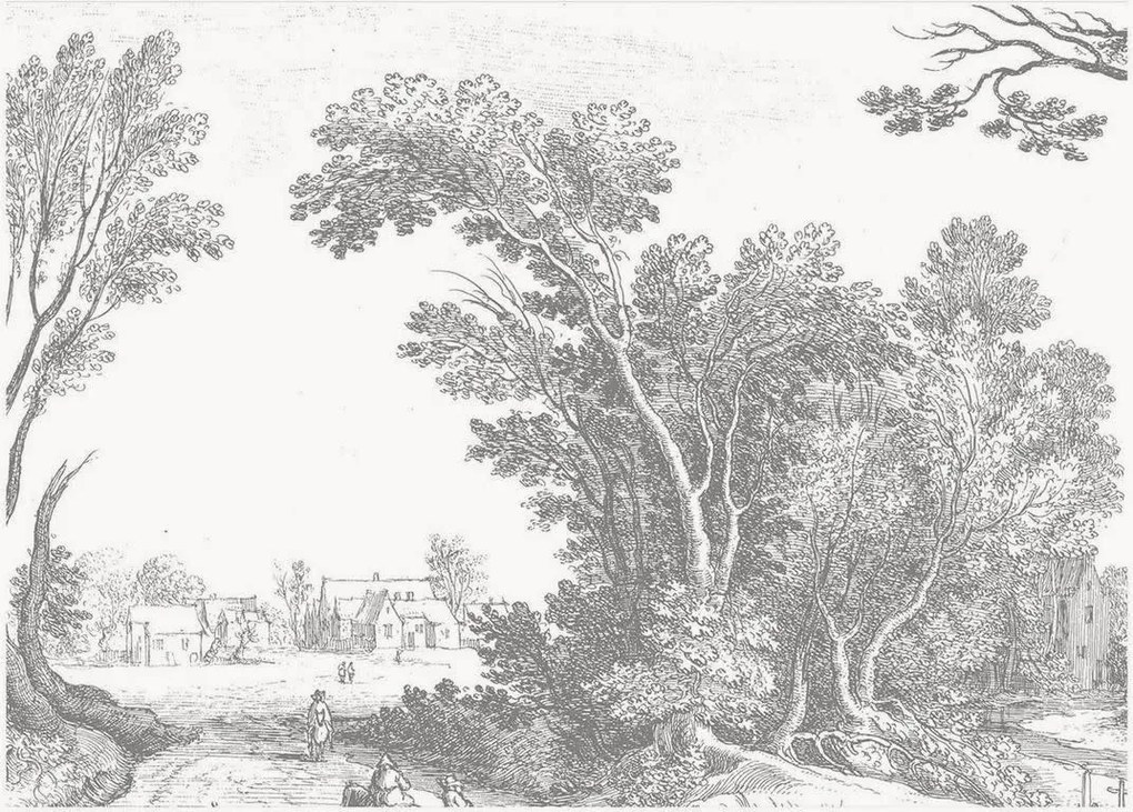 Carta da parati in tessuto non tessuto Engraved Landscapes V
