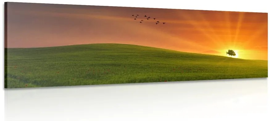 Quadro su tela – Albero nel prato