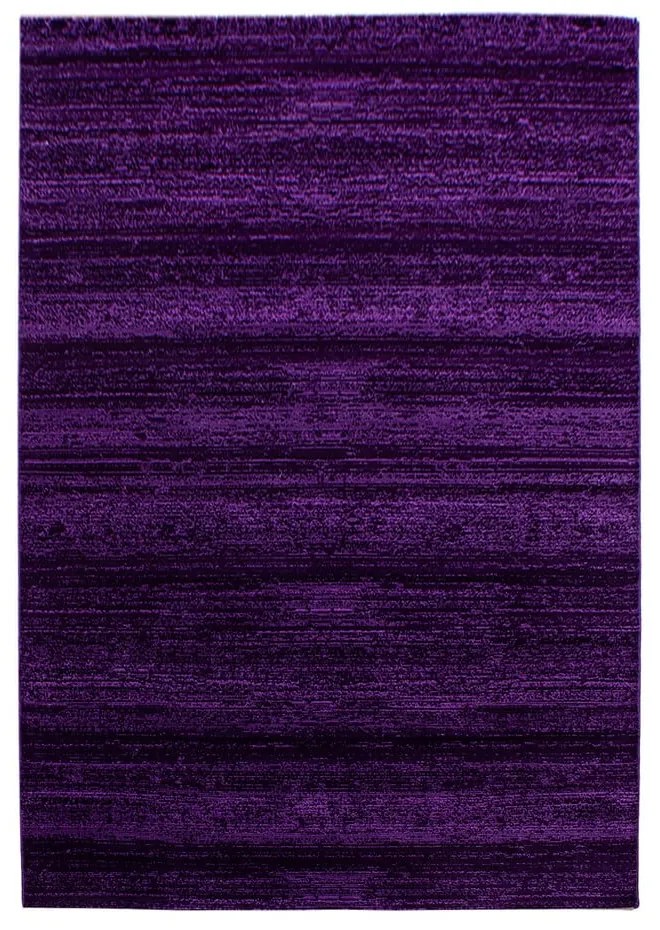 Tappeto viola scuro 160x230 cm Plus - Ayyildiz Carpets