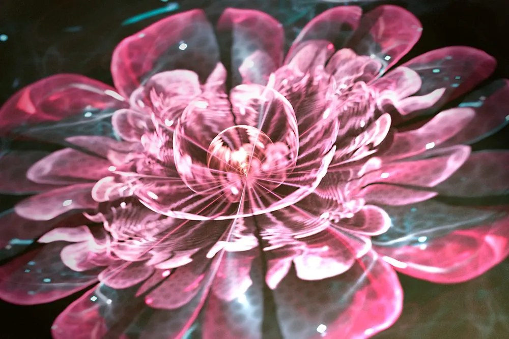 Quadro su tela – Magico fiore rosa