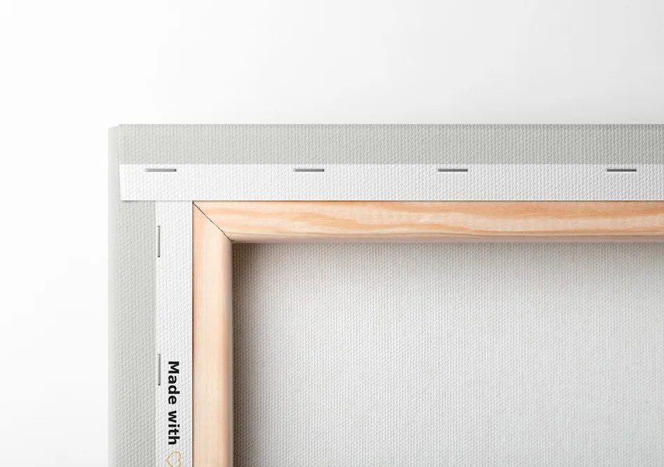 Quadro su tela – Foglie di lusso con un tocco di minimalismo