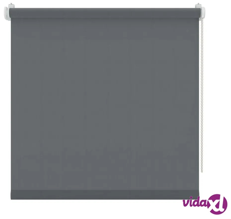 Decosol Tendina a Rullo Traslucida Antracite 107x160 cm