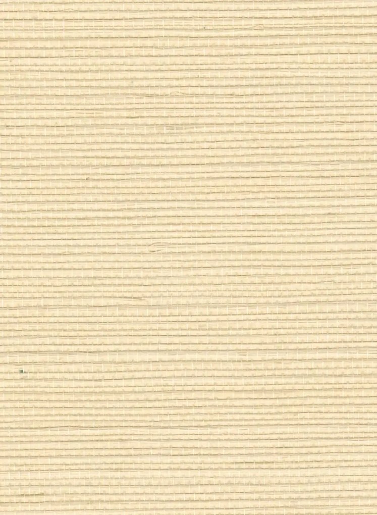 Élitis Carta da parati Sisal - RM 1069 02