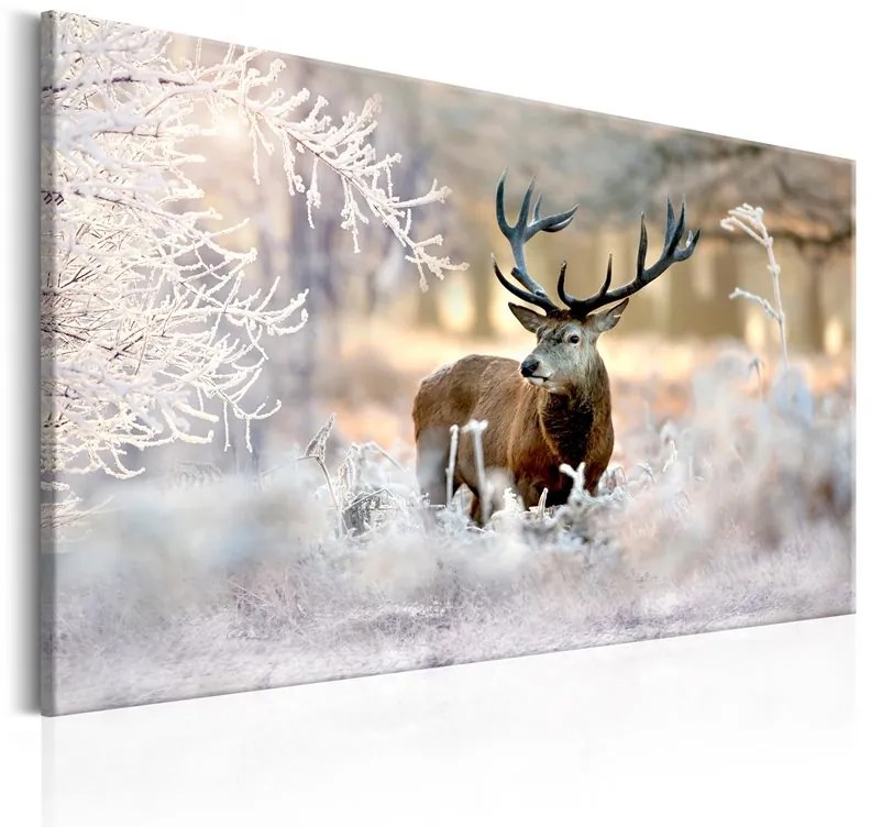 Quadro Deer in the Cold  Colore Beige, Dimensioni e Misure 90x60