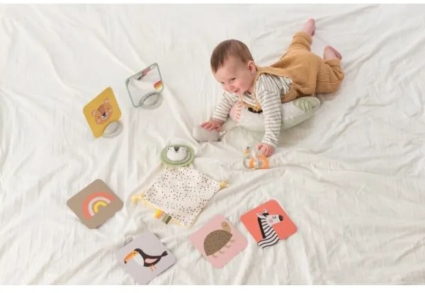 Taf Toys - Confezione regalo HELLO BABY