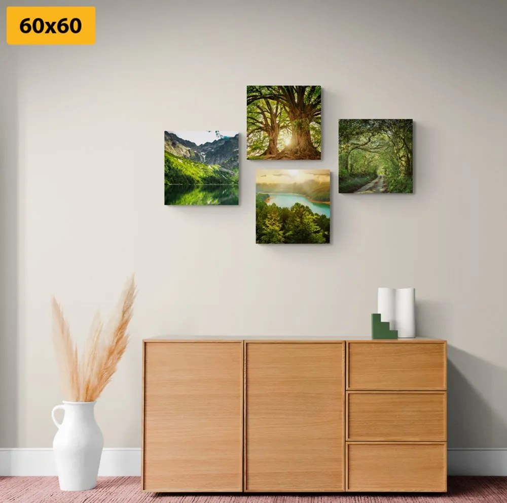 Set di quadri – Splendida natura verde
